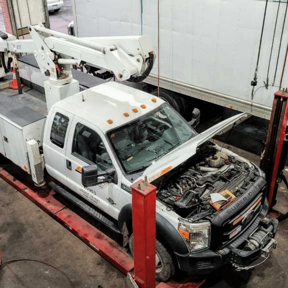 Same Day Evergreen Repairs Denver